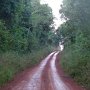 Camino a Andresito, Misiones.